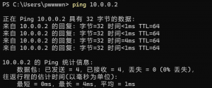 ping 10.0.0.2