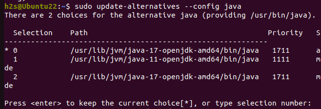 設置默認 Java 版本